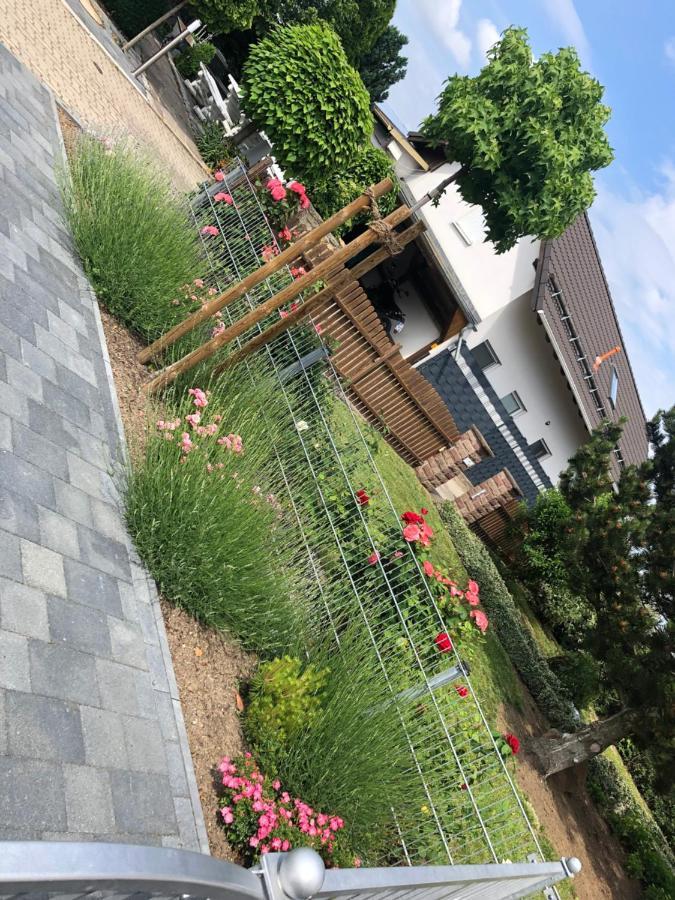 Ferienhaus Gluecksmoment بلانكنبرغ المظهر الخارجي الصورة