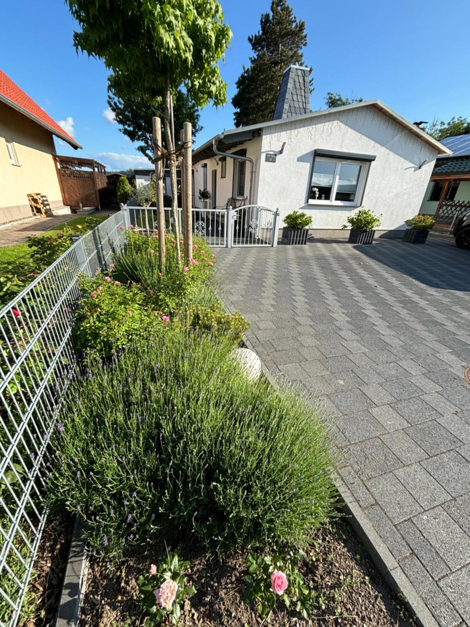 Ferienhaus Gluecksmoment بلانكنبرغ المظهر الخارجي الصورة
