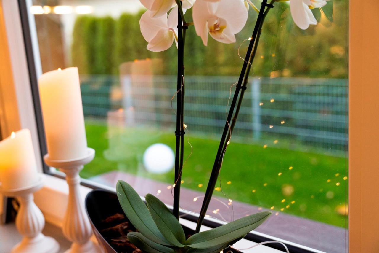 Ferienhaus Gluecksmoment بلانكنبرغ المظهر الخارجي الصورة